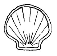 Poincon-Or-Titre-583-Coquille-Saint-Jacques-France