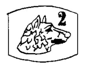 Poincon-Platine-Massif-de-2eme-Titre-Platine-a-900-milliemes-Tete-de-Chien-Blanc