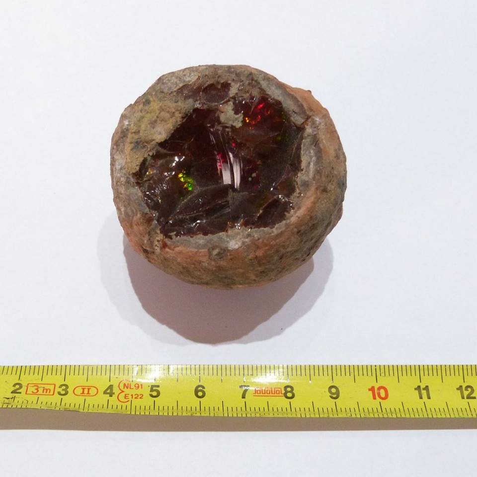 11223533_375274226004865_2820922451358843190_n