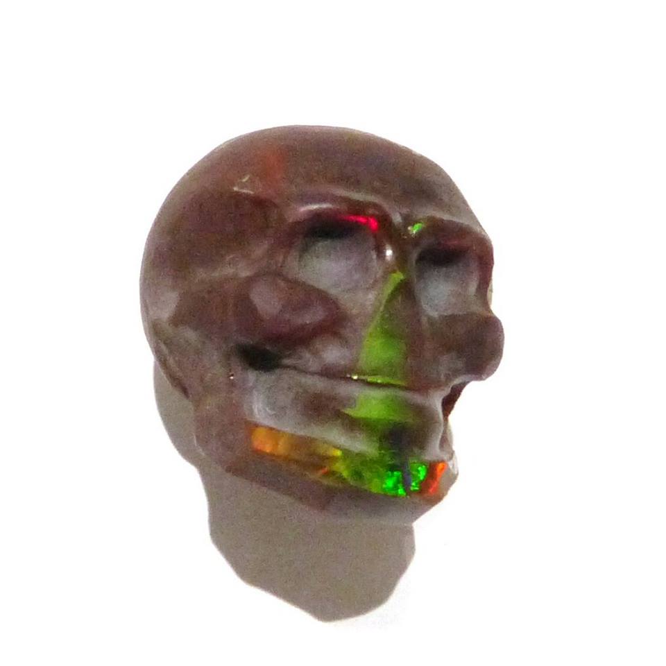 11694989_378092282389726_3364907138696642712_n