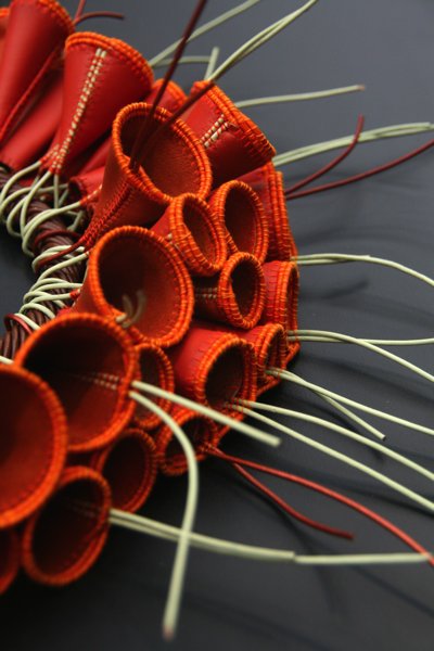 ColleretteBomareaZoom