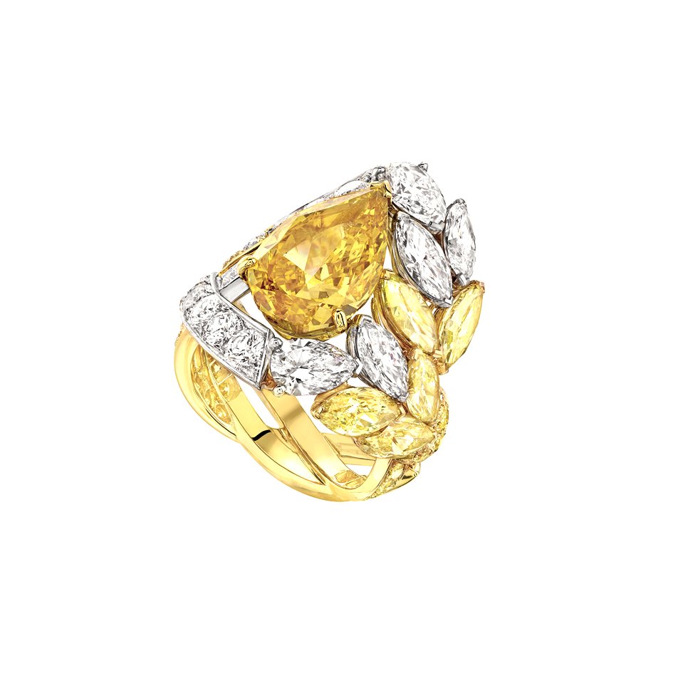 BAGUE EPI SOLAIRE fond blanc