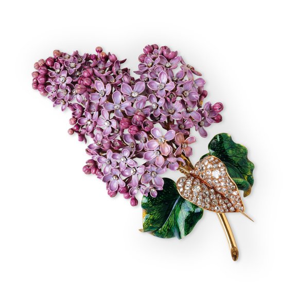 1862_brochelilas_creditwartski