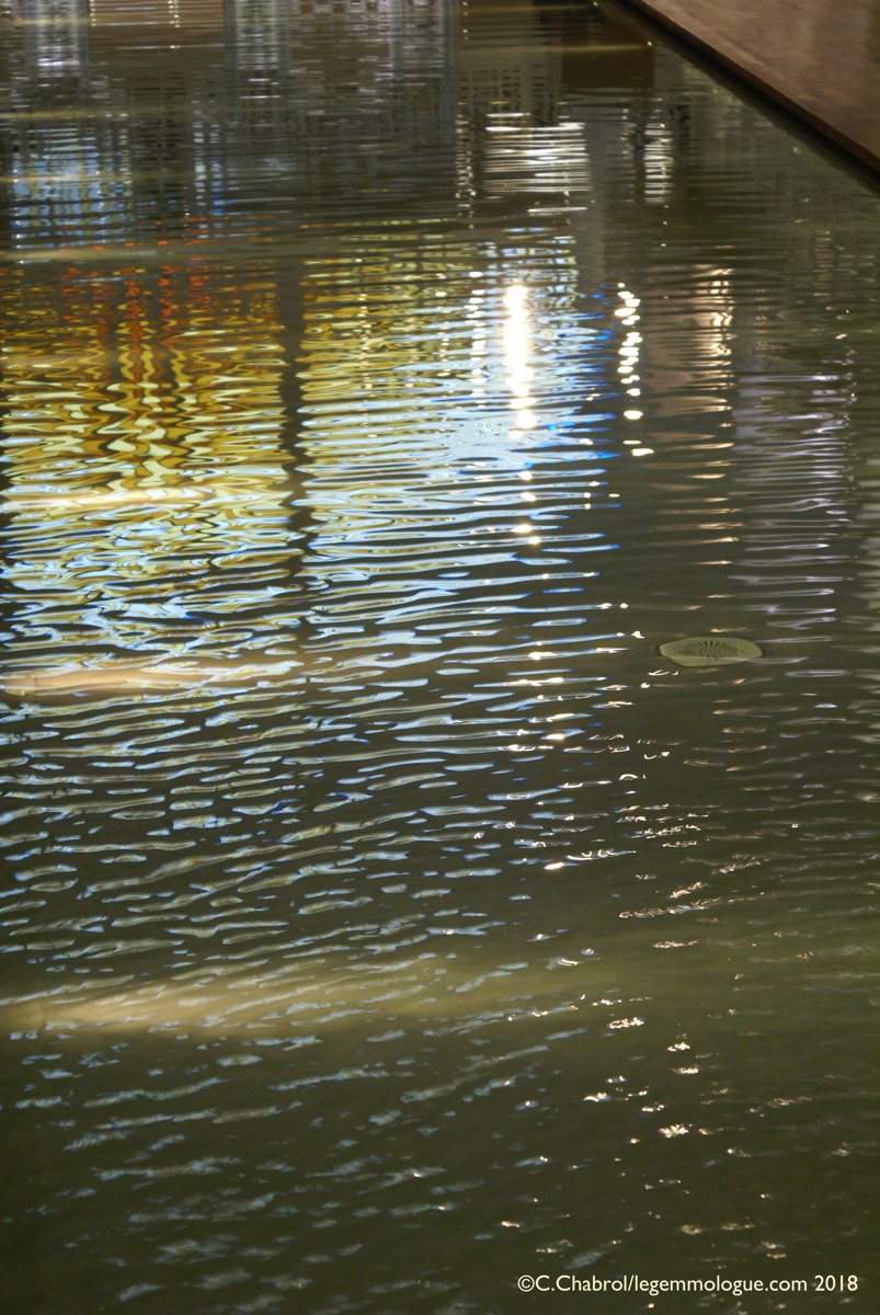 gouaché dael-grau piscine