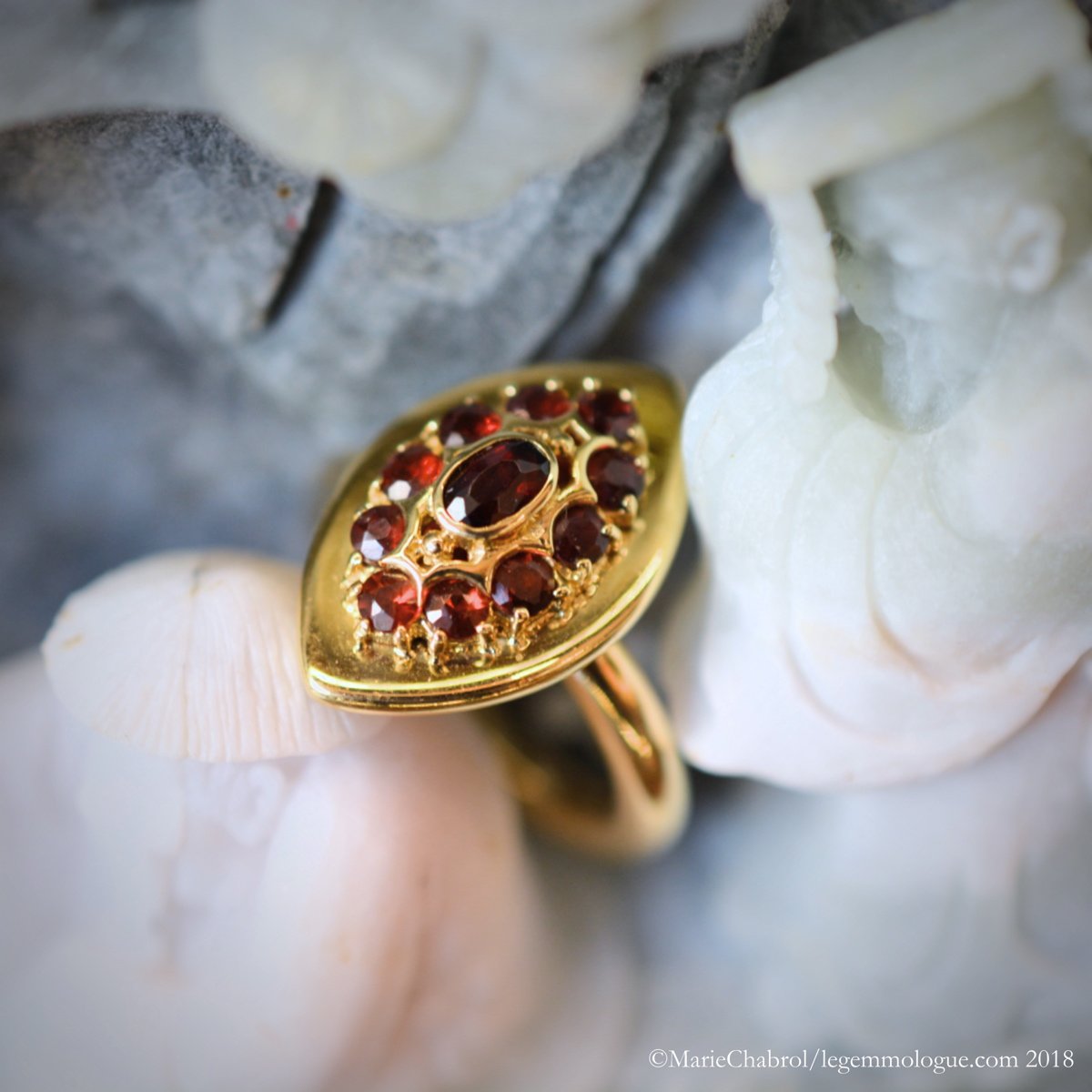 cetanne, anne bourat