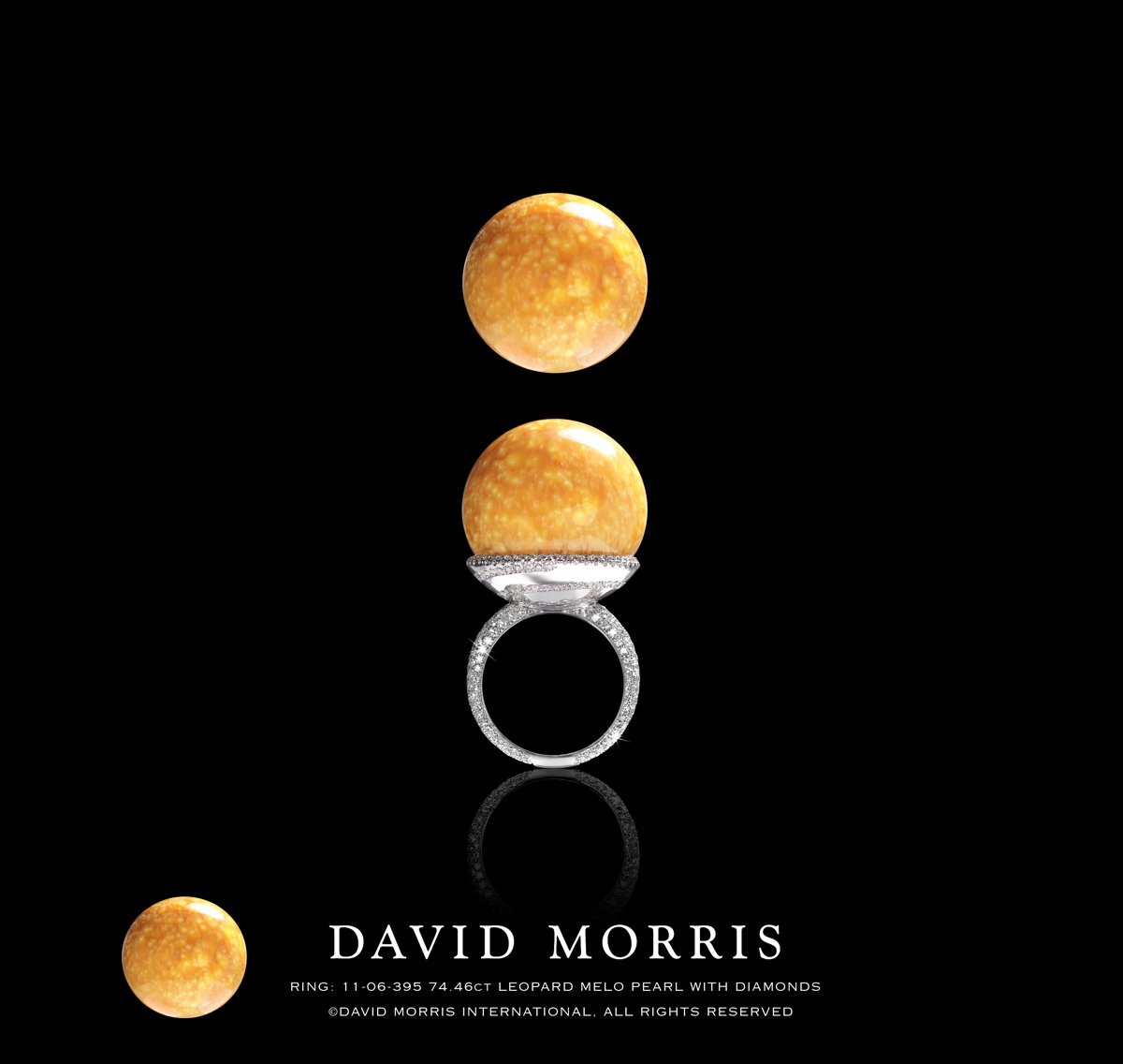 david morris