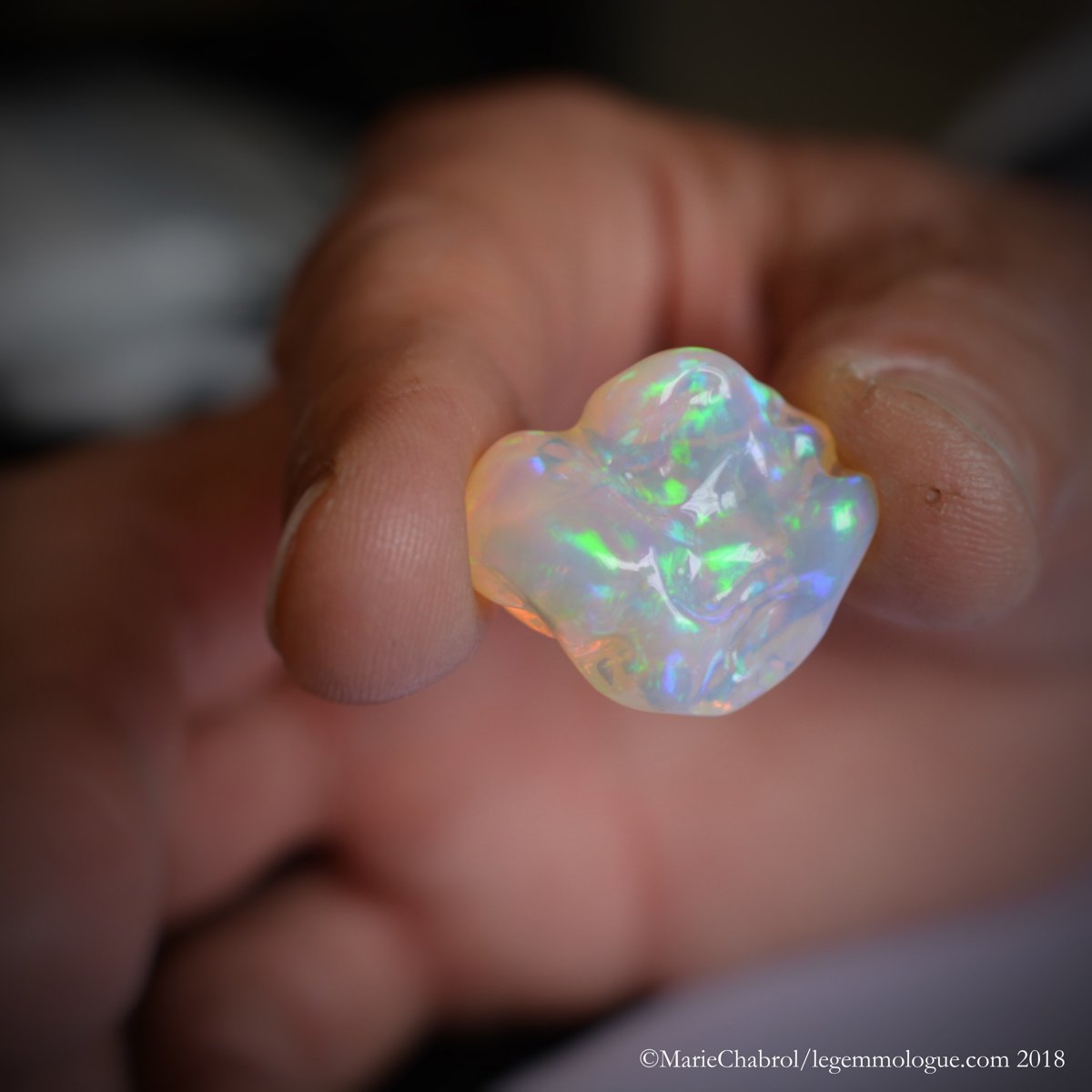 Jacques frappa, gama gem