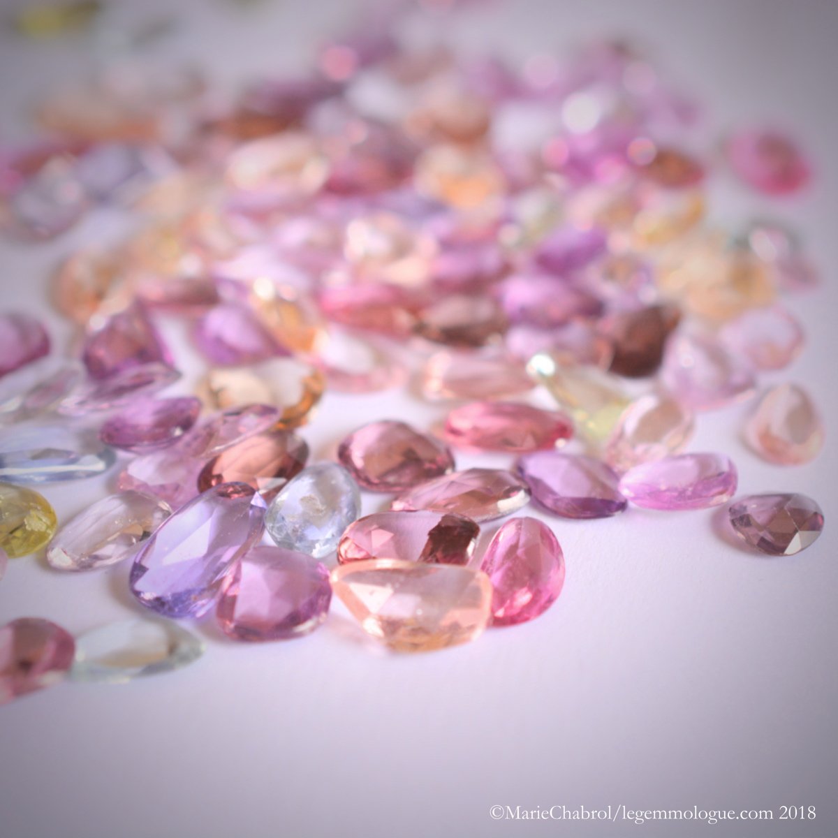 Jacques frappa, gama gem