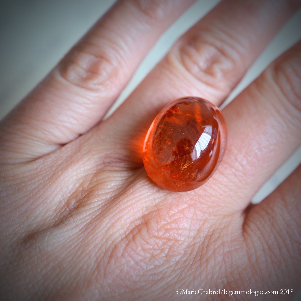 Jacques frappa, gama gem