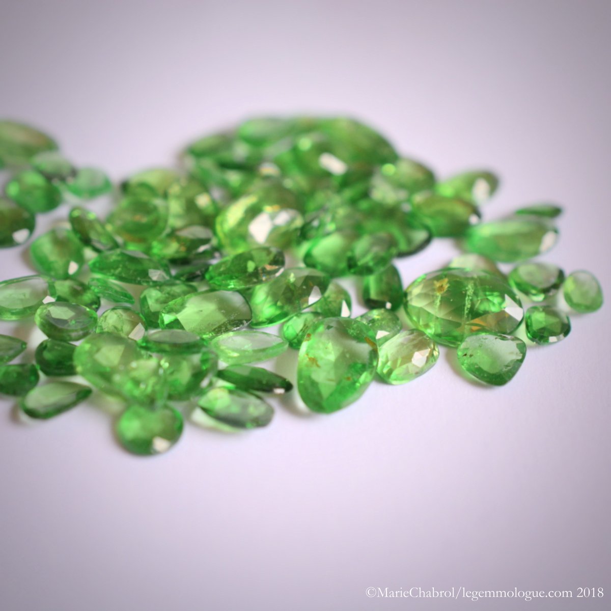 Jacques frappa, gama gem