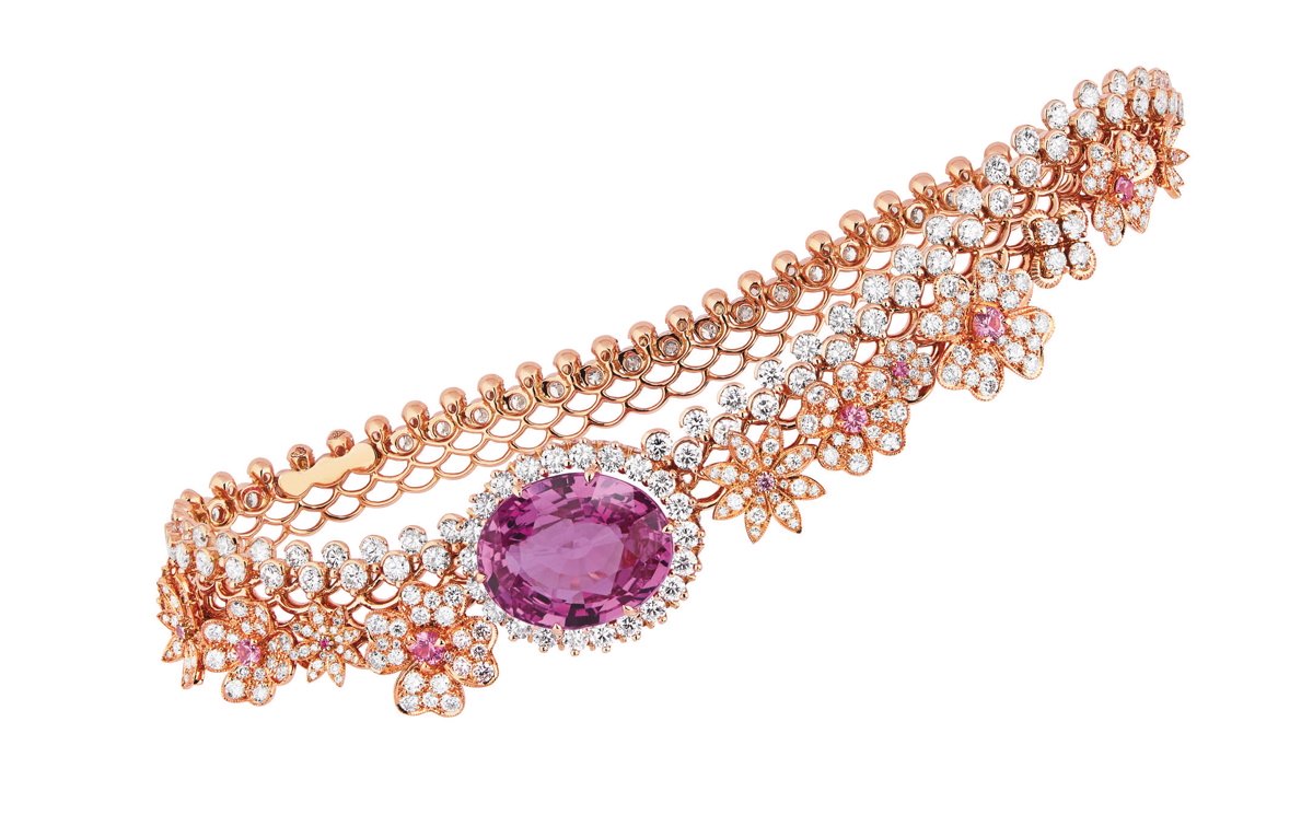 dior, victoire de castellane