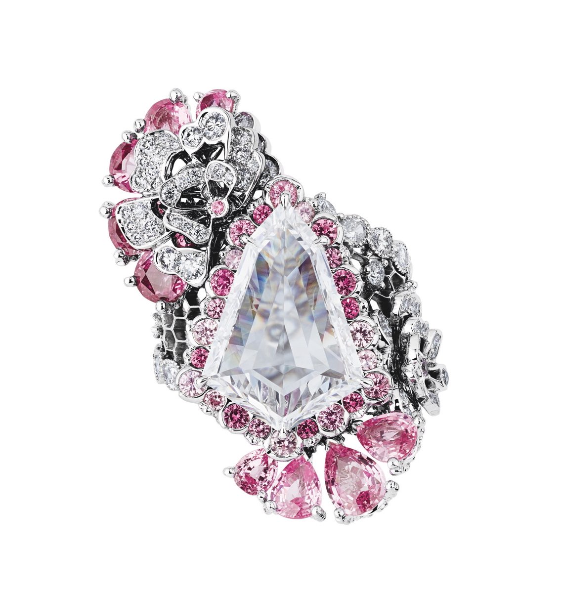 dior, victoire de castellane