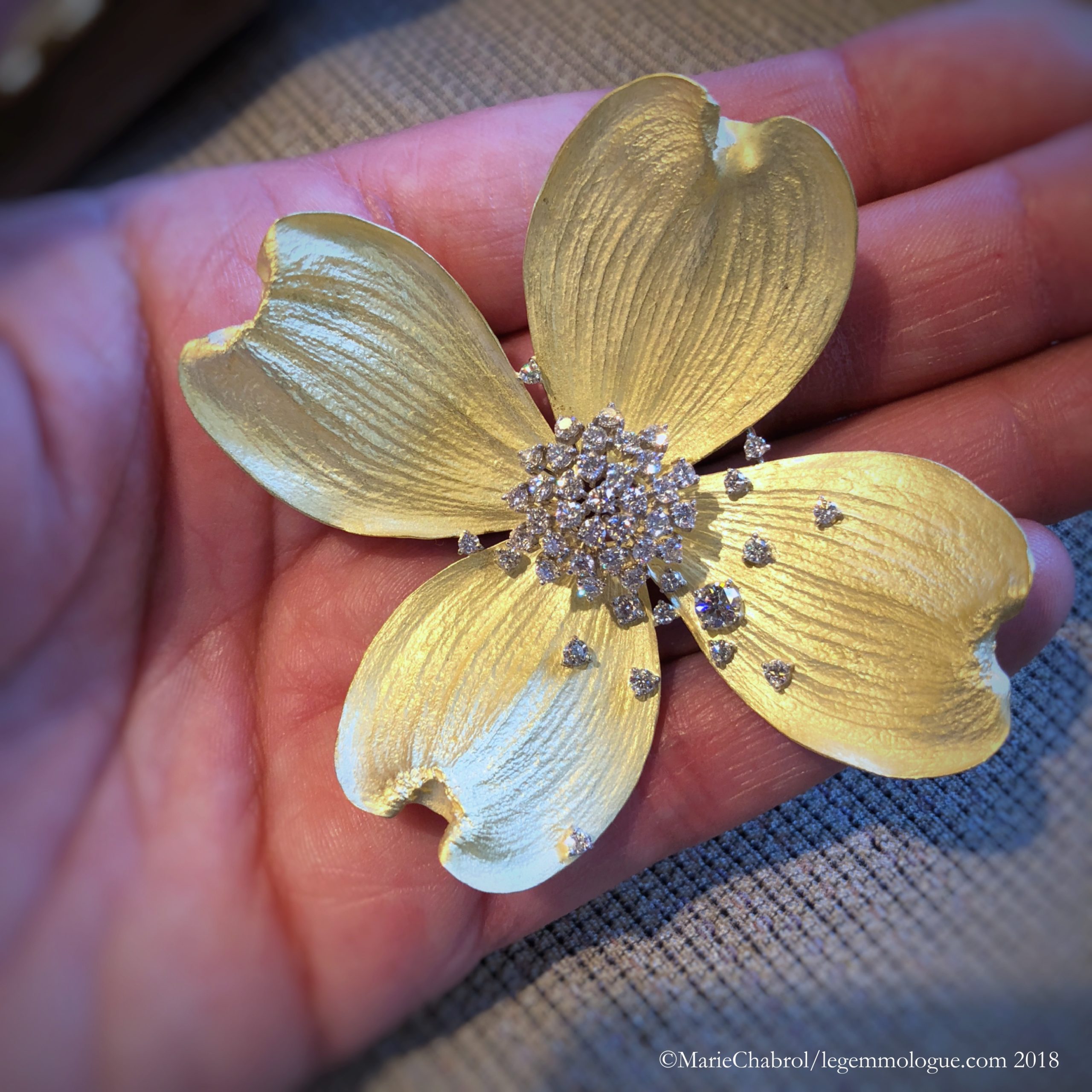 bijorhca paris, nazuna, maria dolores,