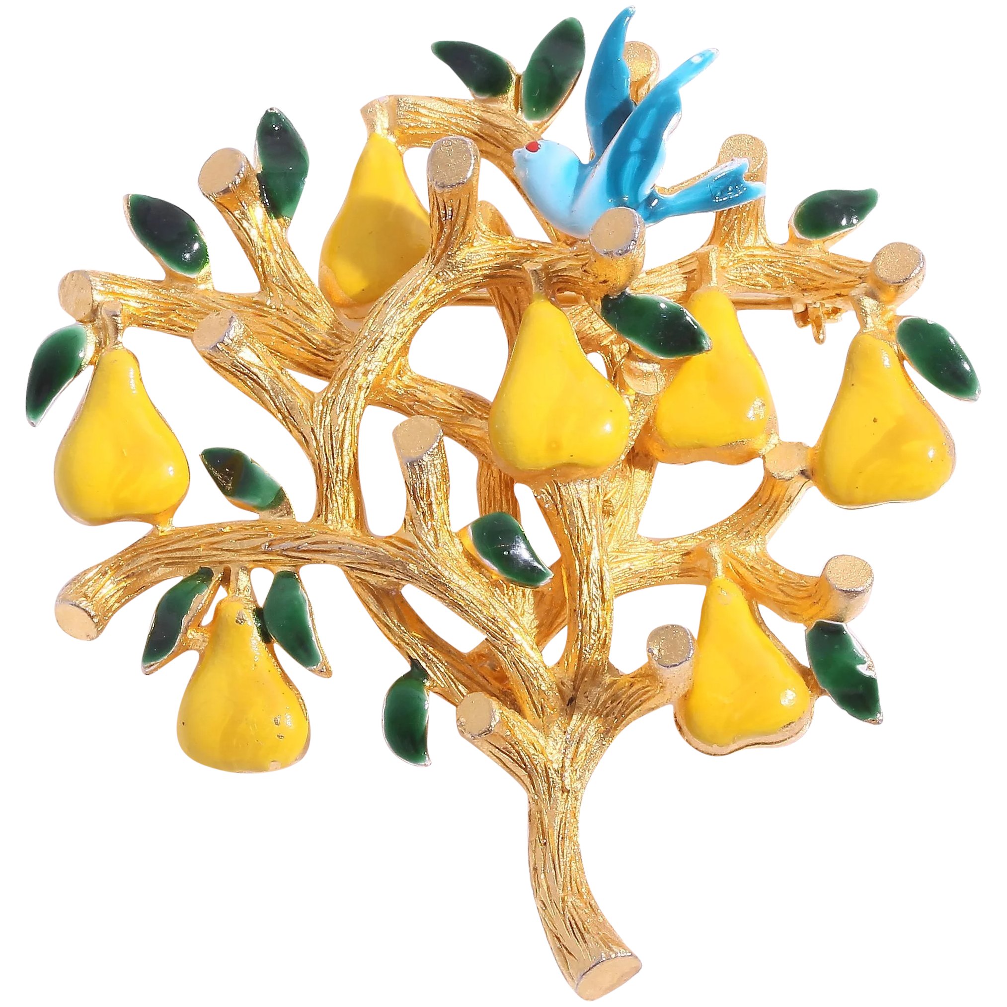 a partridge in a pear tree 