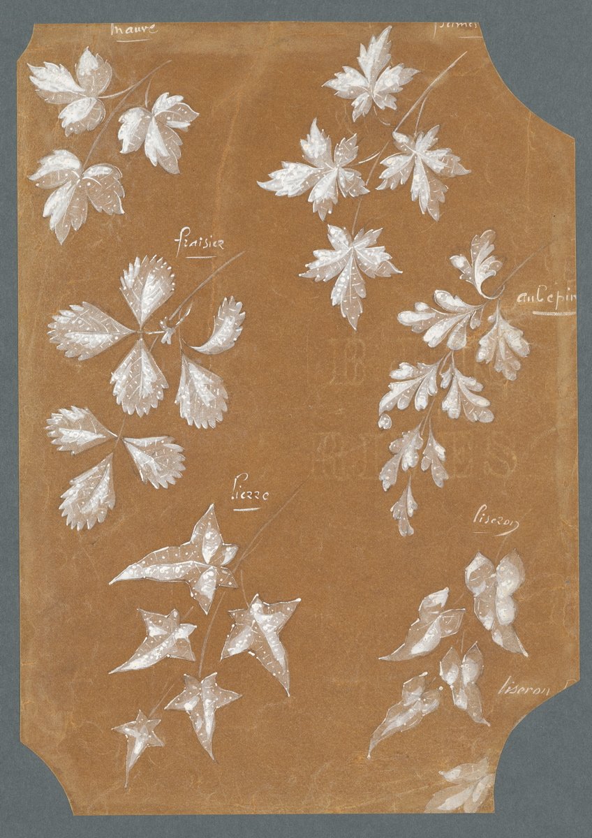 chaumet, dessein de nature