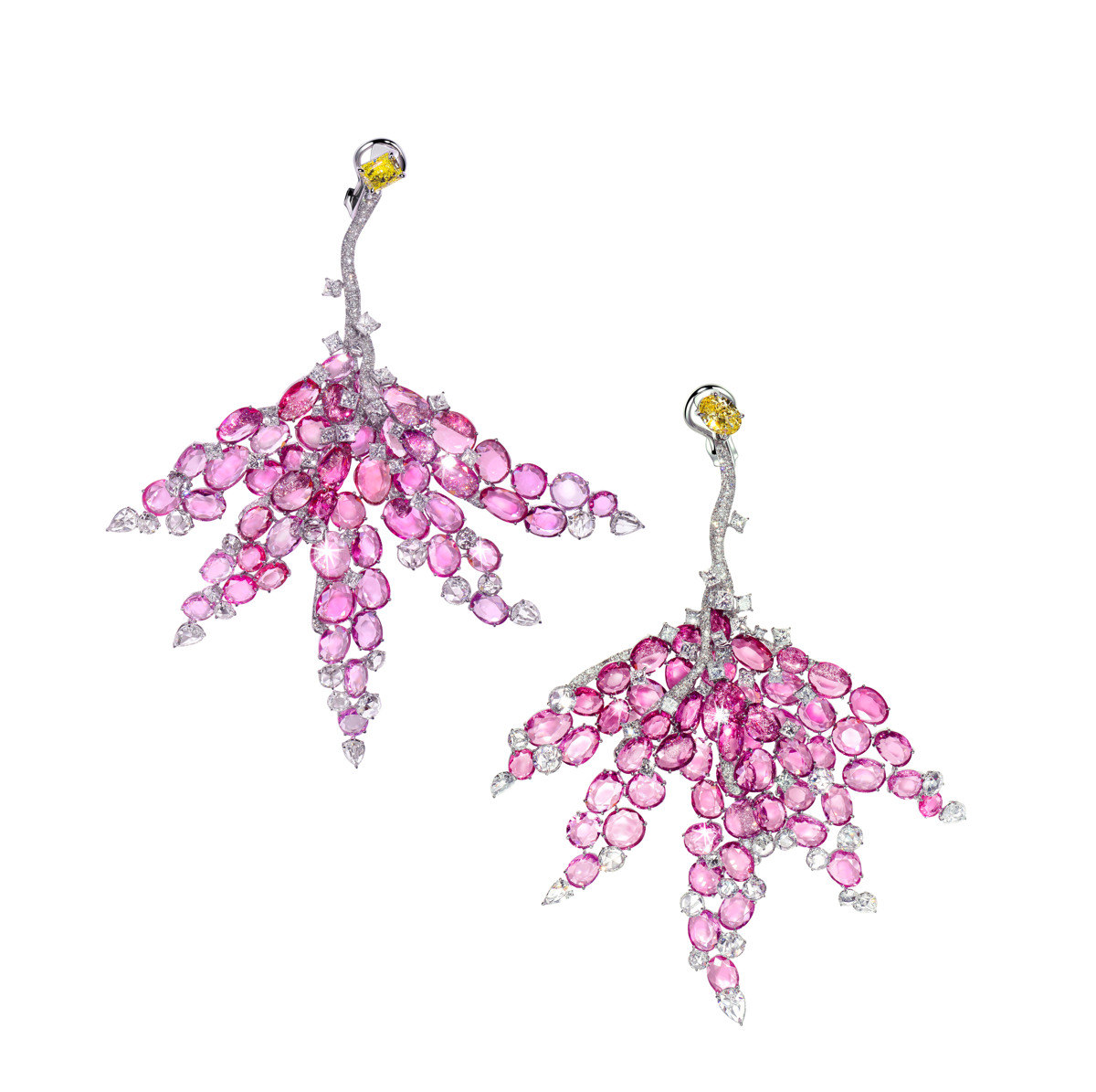 Fashion week, Feng J.