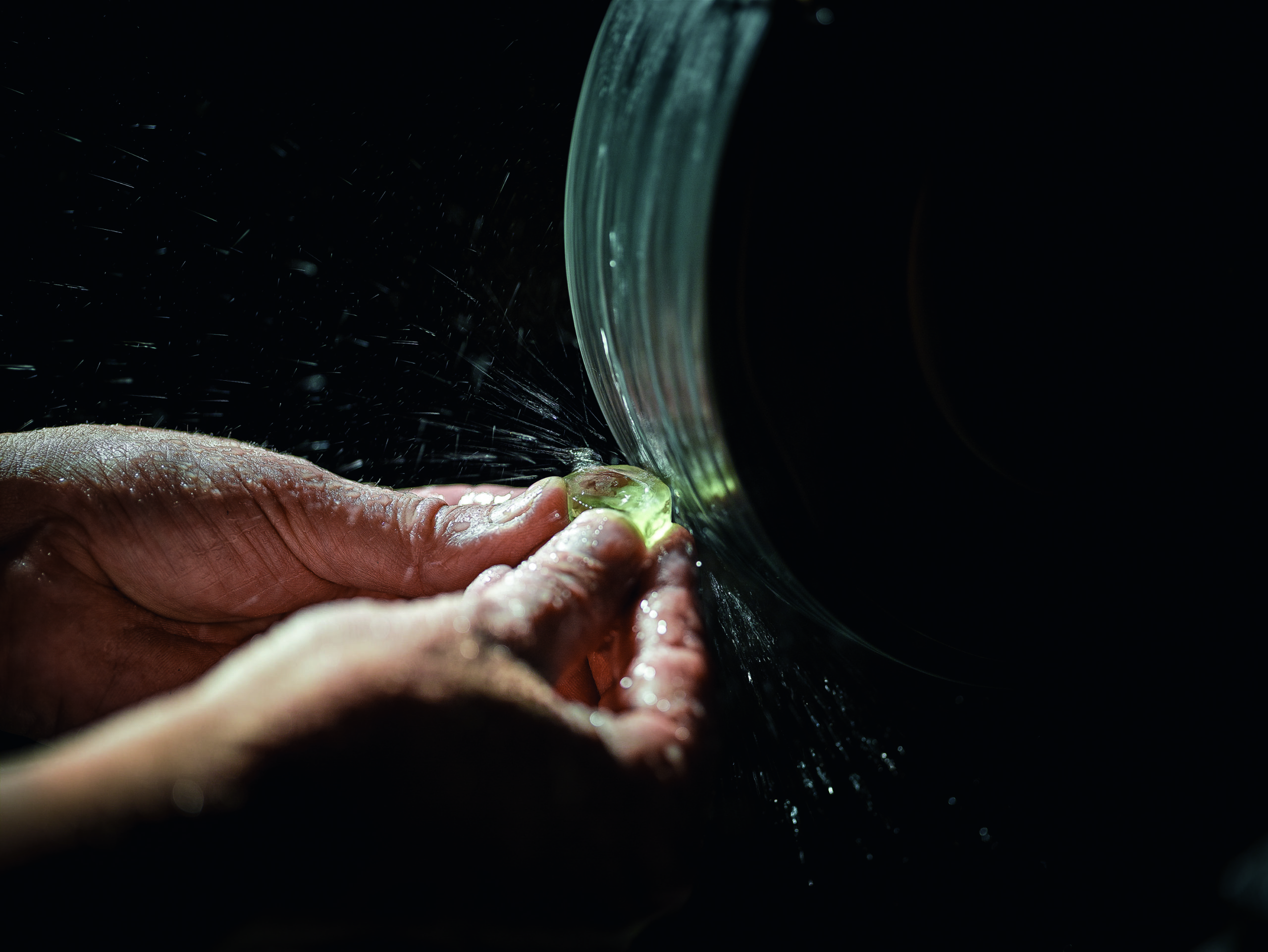 112_Wild_FromStonetoGem_3